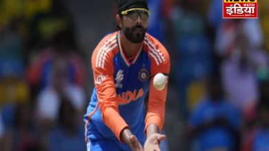 Ravindra Jadeja retires from T20 cricket, says after World Cup win - "Dream fulfilled"