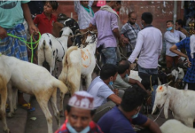 मुंबई में बकरीद पर मचा हंगामा, जानिए हैरान करने वाली वजह?