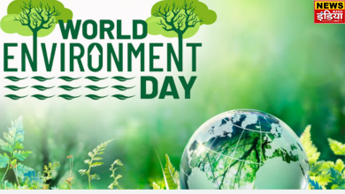 Why is June special, history and importance of World Environment Day