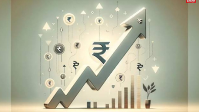 Union Budget 2024: Survey conducted before the budget revealed, retail investors have shares worth so many lakh crores