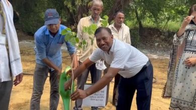 UP Ghaziabad News: Sahibabad MLA, cabinet minister and other officials planted trees