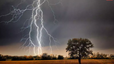 Bihar Lightning Death Toll: 22 people died due to lightning in Bihar, CM expressed grief