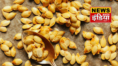 Pumpkin seeds, a treasure trove of nutrients