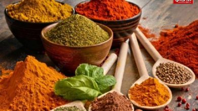 Kanpur News: Be careful! Vegetable spices of branded companies are deadly… insects found in the sample.