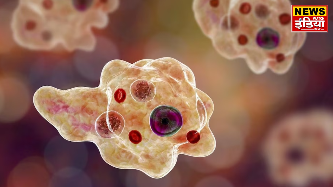 Brain Eating Amoeba In Kerala
