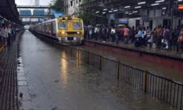 Maharashtra Rain: Rain caused bad condition in Maharashtra, roads and houses submerged, four people died