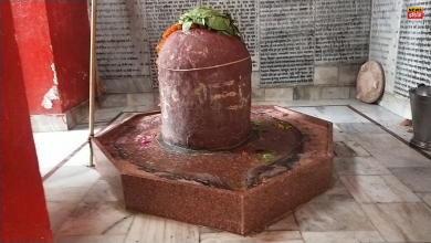 Agra News: Ancient Shivling found in Agra, people said it is a miracle