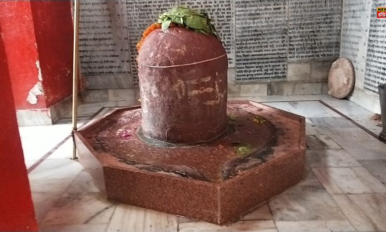 Agra News: Ancient Shivling found in Agra, people said it is a miracle