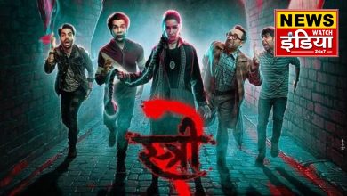 The unique journey of the title of 'Stree', this horror film was offered to Ayushman Khurana before Rajkumar Rao