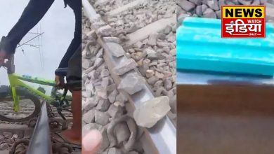 Viral video: A man did such a thing on the railway track for likes and views that he had to go to jail.