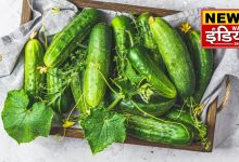 Right time to eat cucumber: day or night? Consumption at wrong time can cause harm