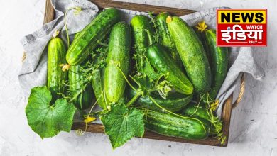 Right time to eat cucumber: day or night? Consumption at wrong time can cause harm