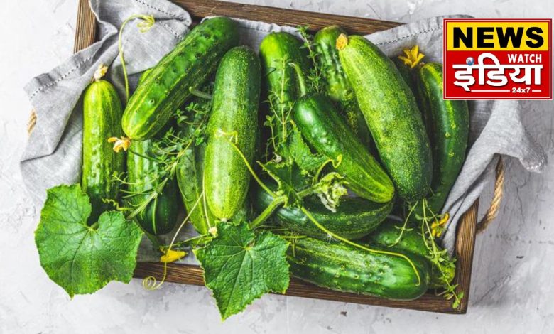 Right time to eat cucumber: day or night? Consumption at wrong time can cause harm