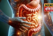 Deep connection between brain and stomach, why stomach gets upset due to anxiety