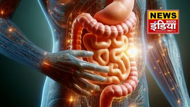 Deep connection between brain and stomach, why stomach gets upset due to anxiety