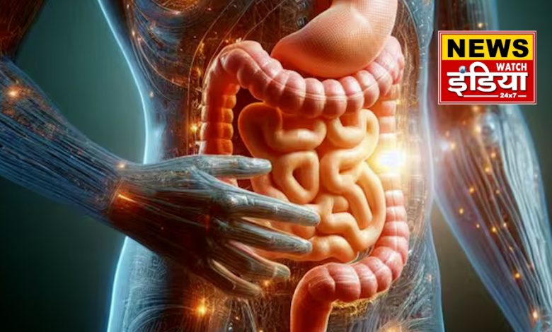 Deep connection between brain and stomach, why stomach gets upset due to anxiety