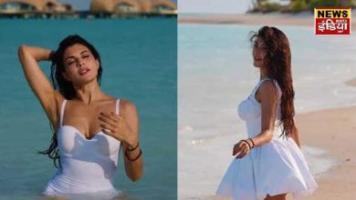 Seeing Jacqueline Fernandez walking on the sand with the help of her paws, people said…!