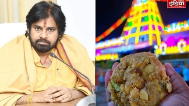 CM's big announcement on Tirupati Prasad controversy, Pawan Kalyan will do penance for 11 days