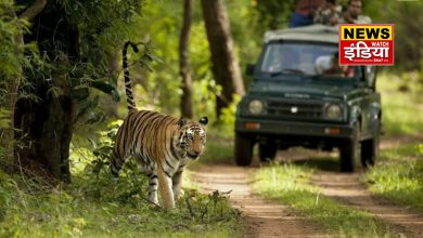 Holidays of forest workers canceled on Diwali, Forest Department intensified patrolling in Terai forests