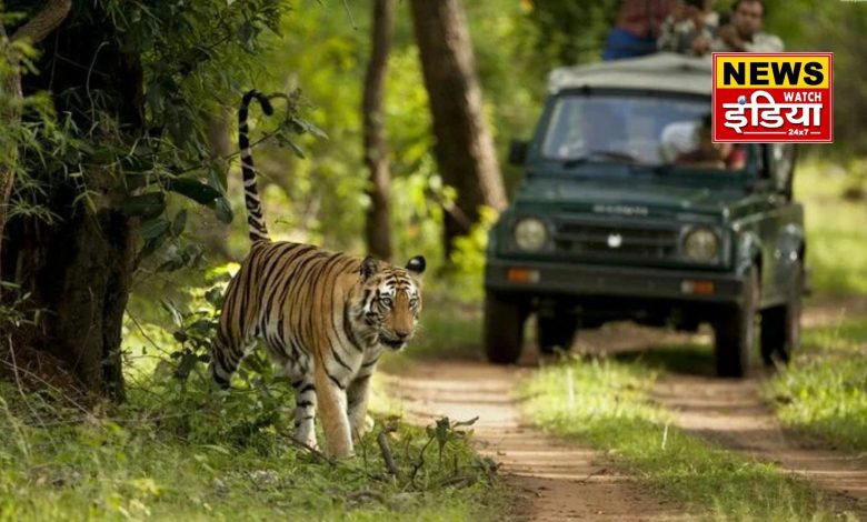 Holidays of forest workers canceled on Diwali, Forest Department intensified patrolling in Terai forests