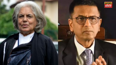 Indira Jaising made such an appeal to the Supreme Court that even CJI Chandrachud was troubled