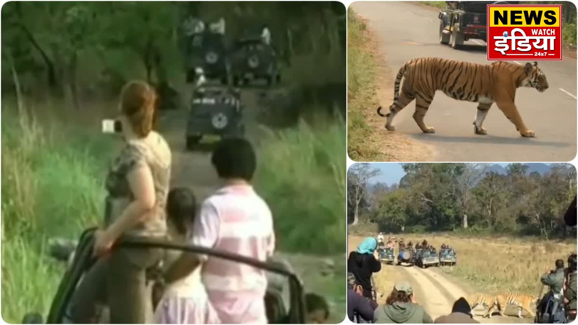 Corbett National Park: Dhikala zone of Corbett National Park will open from November 15, already packed for night stay.