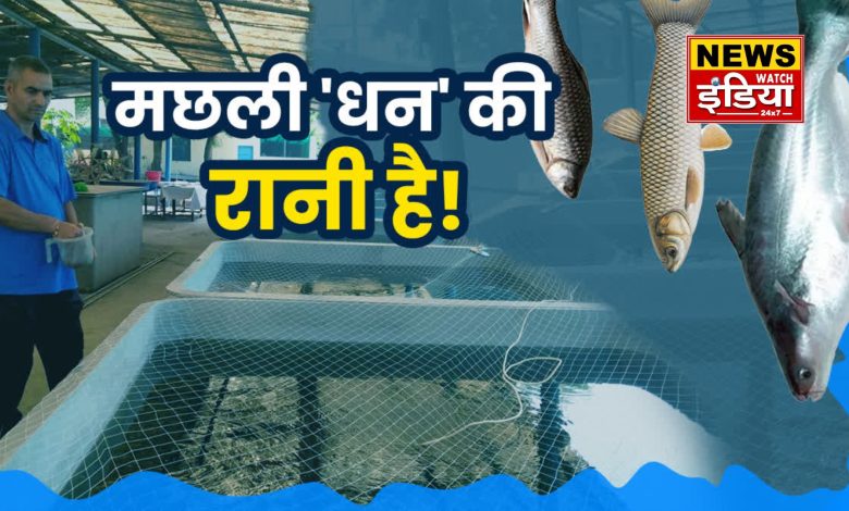 Uttarakhand News: Garhwal University is giving training in fish production, farmers and students are moving towards self-employment