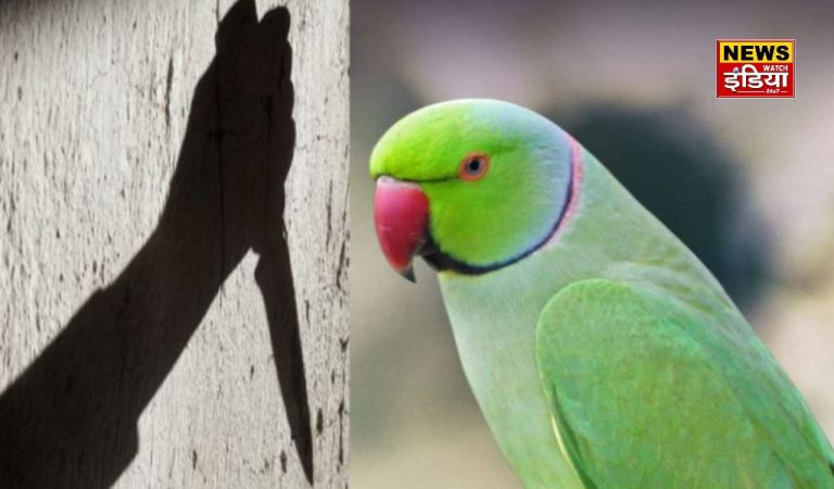 UP Crime News: How the parrot took revenge for the murder of its mistress, this is how it revealed the secret of the criminal