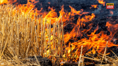 Stubble Burning Fine in UP: Know in which district burning stubble will now be a big crime