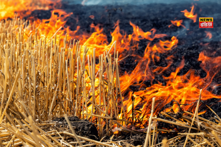 Stubble Burning Fine in UP: Know in which district burning stubble will now be a big crime