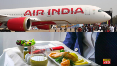 Air India Big Decision: Hindus and Sikhs will not be served 'Halal' food in flights