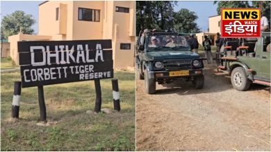 The adventure of Dhikala zone of Corbett Tiger Reserve has begun, tourists are enjoying day safari and night stay