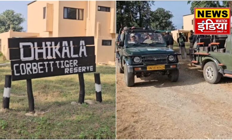 The adventure of Dhikala zone of Corbett Tiger Reserve has begun, tourists are enjoying day safari and night stay