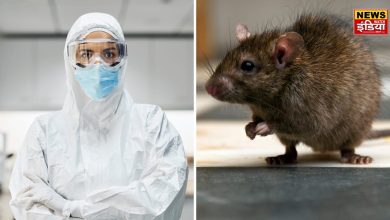 Lassa Fever Symptoms: After Corona, another virus Lassa created panic, know the symptoms, causes and treatment