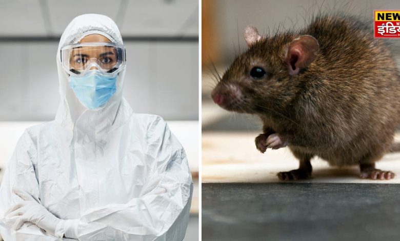 Lassa Fever Symptoms: After Corona, another virus Lassa created panic, know the symptoms, causes and treatment