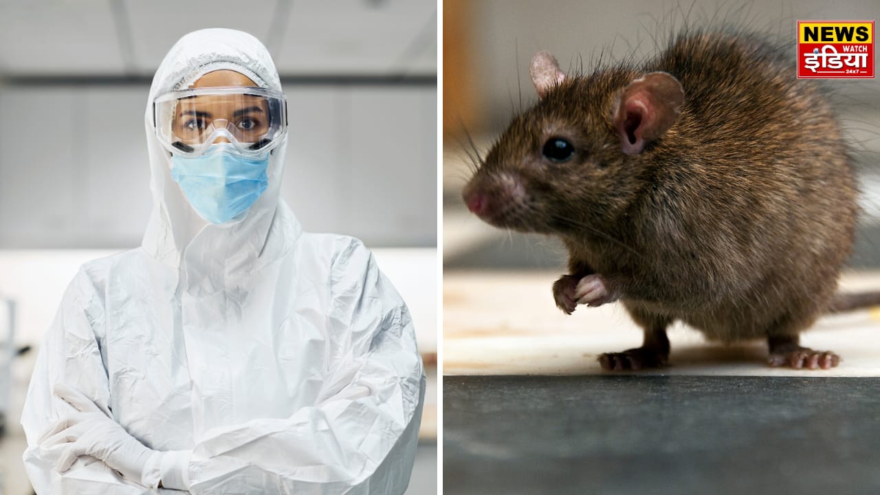 Lassa Fever Symptoms: After Corona, another virus Lassa created panic, know the symptoms, causes and treatment