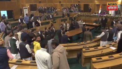 Jammu Kashmir Assembly: Ruckus over Article 370, heavy kicking and punching, several MLAs injured