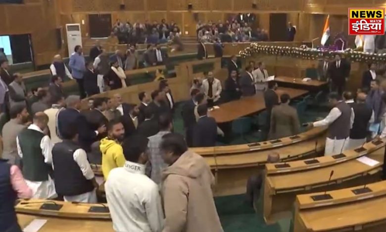 Jammu Kashmir Assembly: Ruckus over Article 370, heavy kicking and punching, several MLAs injured