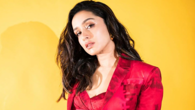 Shraddha Kapoor Hoarding News: Shraddha Kapoor reacts to fan's warning against hoardings on expressway