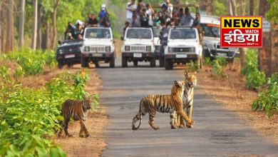 New attraction of Corbett National Park in Ramnagar: 'Chandni Eco Tourism Zone' is going to open in Belpadav.