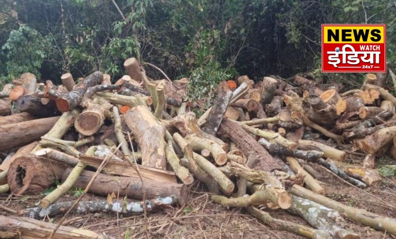 Uproar over felling of trees in Surai forest range, Deputy Leader of Opposition Bhuvan Kapri made serious allegations against the forest department.