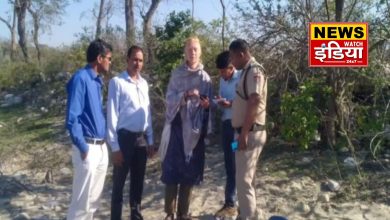 Chirping of foreign guests in the reservoirs of Ramnagar in winter, Forest Department paid special attention to security