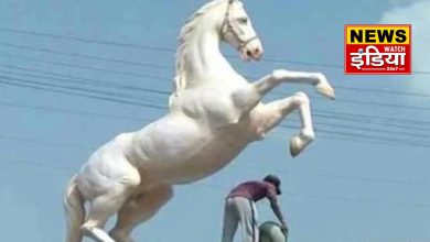 Shaktiman horse death case: Uttarakhand High Court reserves verdict on petition seeking punishment