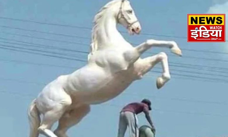 Shaktiman horse death case: Uttarakhand High Court reserves verdict on petition seeking punishment