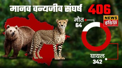 Worrying year of human-wildlife conflict, 64 deaths and 342 injured