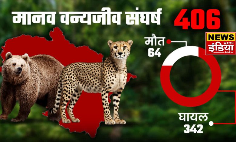 Worrying year of human-wildlife conflict, 64 deaths and 342 injured