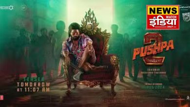 ‘Pushpa 2’ earned a lot in paid preview, did it break the record of ‘Stree 2’ or not? Know the full report