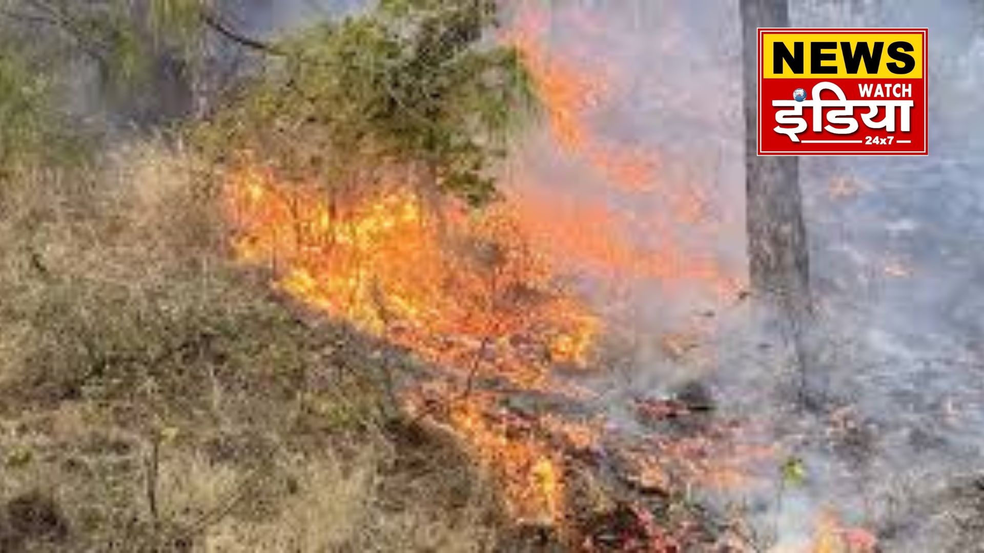 A terrible fire broke out at the World Ayurveda Conference in Dehradun, a major accident was averted due to the promptness of the employees