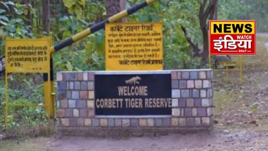 Preparations to open outlets for local products in Corbett Tiger Reserve, will boost livelihood and tourism