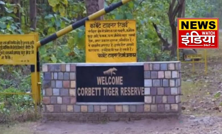 Preparations to open outlets for local products in Corbett Tiger Reserve, will boost livelihood and tourism